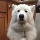 不过一纸流年