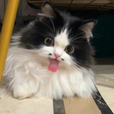 汽水
