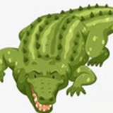 鳄鱼chain