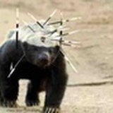 山西确实在东边