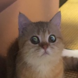 23%