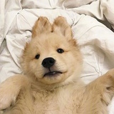 是琳琳公主呀~