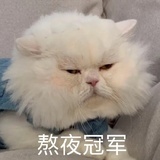 洚袖