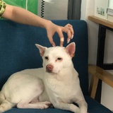 一串乱码kabsiy