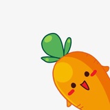 胡萝卜小姐啊