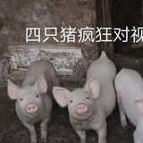 丁