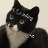 波比