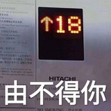 十八楼金瓜