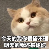毛毛雨