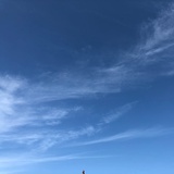 千岛飞鱼