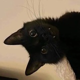 依古比古👻版