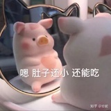 不读书不看报