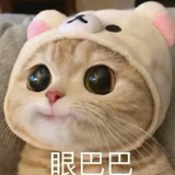 懒🐏🐏