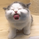 芊芊