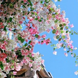 夏天