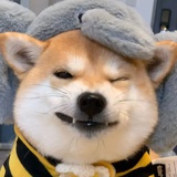 痛与希望短暂