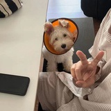 花鲜子😬