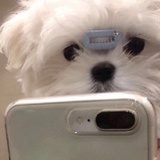 养老院儿童