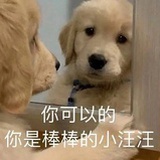 撒哈拉