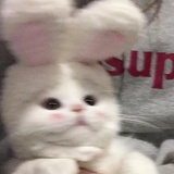 咕噜咕噜锤