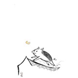 杂牌短裤