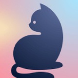猫频道管理员