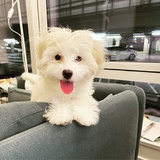 大大大大大懒人