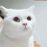 你你你JH