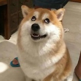 吮指原味丫