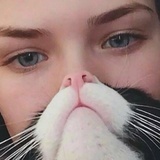 catlll