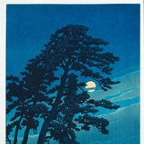 小螺号滴滴滴吹