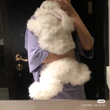 一颗肥桃