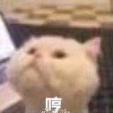 蒙蒙雨