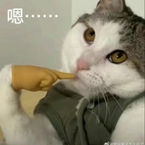 曈曚