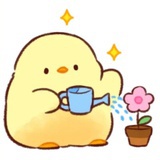吃瓜瓜的群众