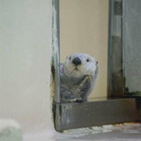 春日˙晴天