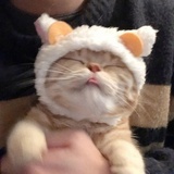 莉莉安