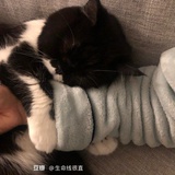 白白吃辣