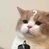 麟犀咏裳