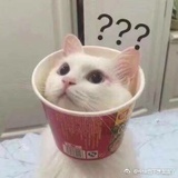 一周