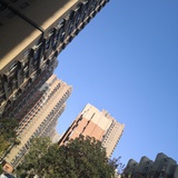 摸鱼达人