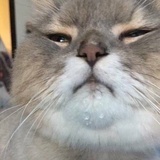 無人