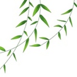 棒老头