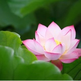滴不完的蜡