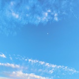 璞薙