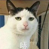 知易行难