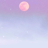 惜瑜