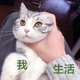 =