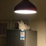 甜觅