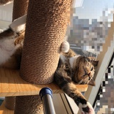 斯宾诺莎磨镜片